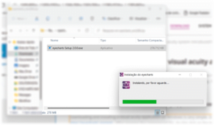 Installing a visual acuity software on any device – a portable multi ...